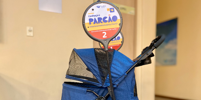 Carrinho de Passeio Pet